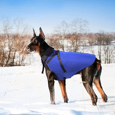 Зимова шерсть для собак Buddypuppy, водонепроникна зі шлейкою для середніх і великих собак (синій, 3XL)