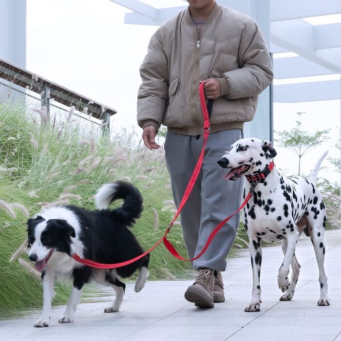 Відмінний Елітний подвійний повідець для ляпасів, регульований світловідбиваючий подвійний повідець для собак, повідець для 2 собак для тренувальної ходьби і бігу (LBLU) Світло-блакитний