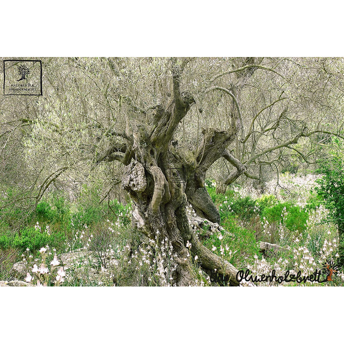 Багетна таця з оливкового дерева board, 30 см, натуральна кромка