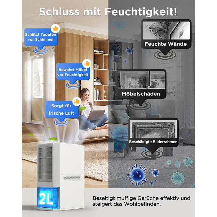EasyAcc Електричний осушувач повітря 2000 мл, 1.3 л/день, для приміщень до 30 м², захист від цвілі та вологи, 270° циркуляція повітря, ефективне осушення при температурі нижче 15°C, для підвалу, ванної кімнати, шафи, кремово-білий