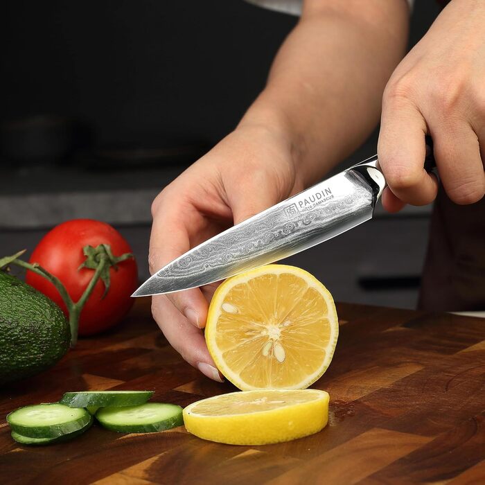 Ніж PAUDIN для м'яса, кухаря та обробки продуктів, 20 см, з високоякісної сталі, ергономічна ручка