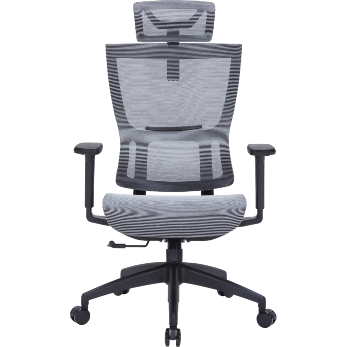 Крісло офісне OfficePro Elegant OC660-B-DG-DG