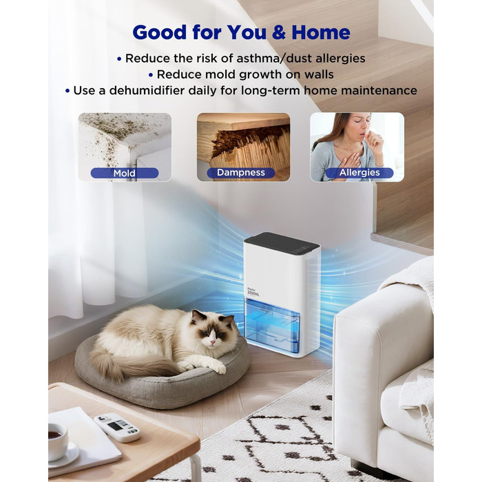 EasyAcc Електричний осушувач повітря 1200 мл, компактний, тихий, портативний, з автовимкненням та режимом сну, для дому та офісу (білий)