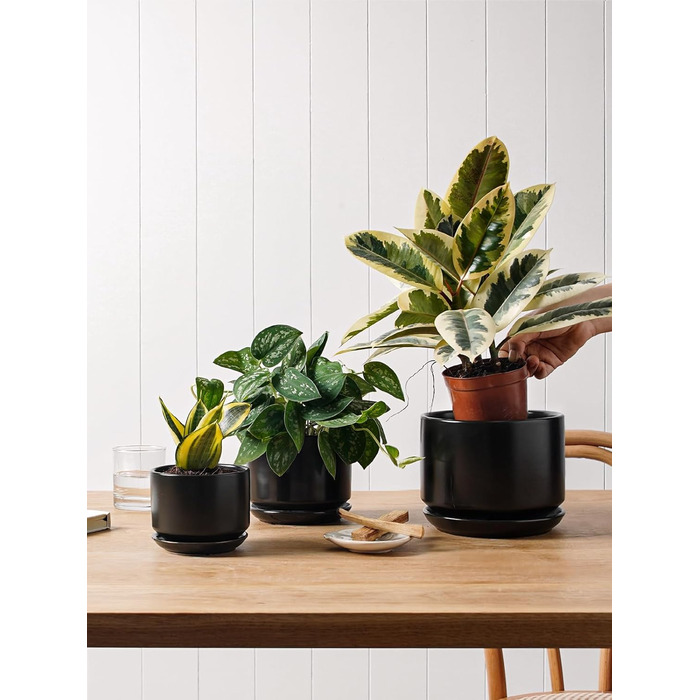 Набір горщиків для квітів LE TAUCI 3шт, кераміка, 11/13/17 см, з підставками та дренажними отворами, реактивна глазур, бежевий (чорний)