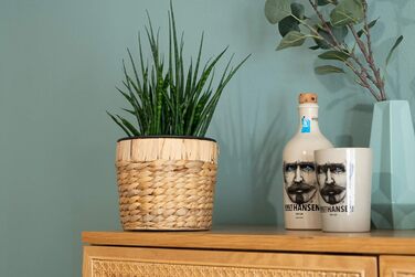 Набір горщиків для квітів Decorasian 2 шт. круглі, плетені з морської трави, з пластиковим вкладишем, 16 см