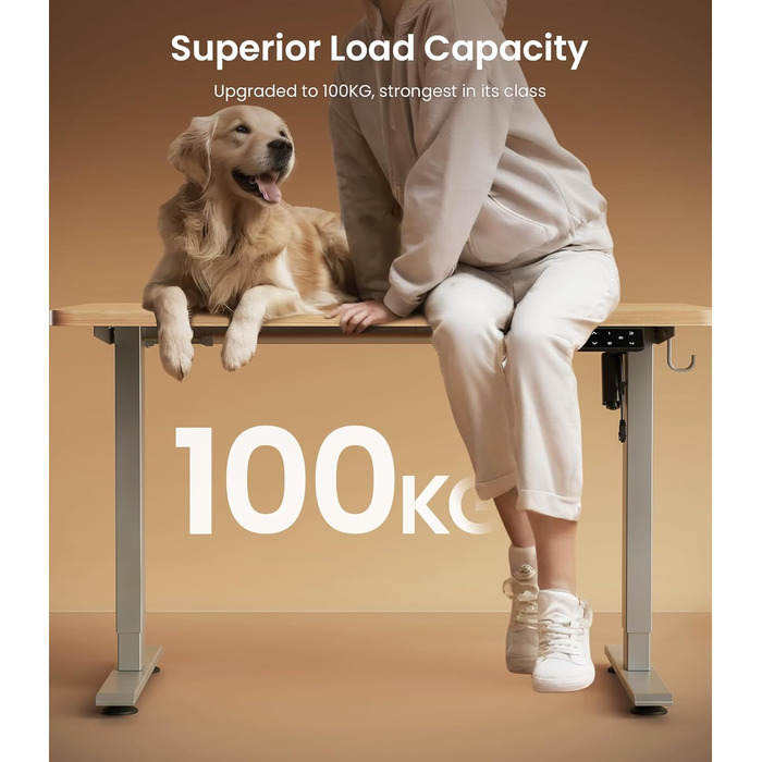 Електричний регульований стіл MAIDeSITe T1 Pro (Сірий) з 4 пам'яттю висоти та потужним мотором