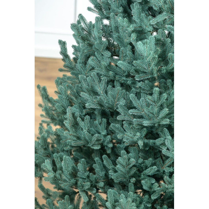 Ялинка лита 'Віденська' Блакитна 3,00м