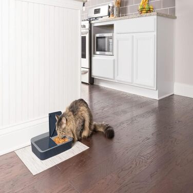 Цифрова годівниця PetSafe для 2 прийомів їжі, 2 миски, які можна мити в посудомийній машині об'ємом 355 мл, ідеально підходить для котів і маленьких собак