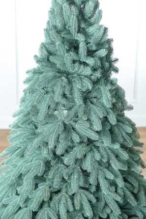 Ялинка лита 'Лапландська' ПАРАСОЛЬКА БЛАКИТНА 3,00м