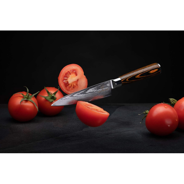 Ніж кухарський Damast від Wolfblood (24см) з нержавіючої сталі Damast, 67 шарів, з дерев'яною ручкою, сертифікований TÜV, у подарунковій коробці з захистом леза