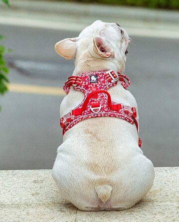 Шлейка для собак tineer з квітковим малюнком, що не тягнеться, світловідбиваюча нейлонова регульована м'яка жилетка, тренувальна шлейка для маленьких собак середнього розміру (м груди 56-69 см, червона)