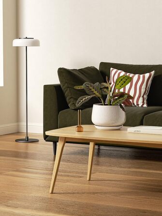 Керамічні горщики LE TAUCI з підставкою, 10+13+16 см, набір 3 шт. для кімнатних рослин, з дренажним отвором, бежева реактивна глазур