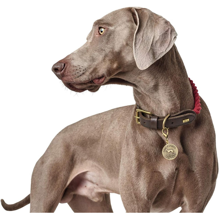 Нашийник Hunter LIST для собак, темно-синій, шкіряний, морський, міцний, стійкий до атмосферних впливів, еластичний, (Бордо, 70 (XL))