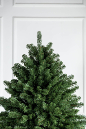 Ялинка лита 'Версальська' Зелена 2,10м