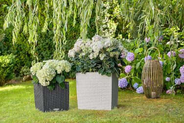 Пляцок Lechuza 'Cube Cottage 30' з системою поливу ґрунтом, граніт, 30 x 30 x 30 см