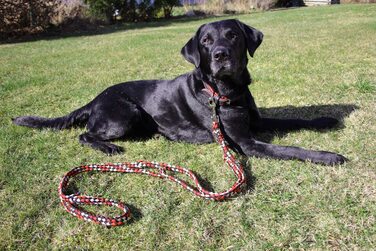 Плетений повідець для собак, мультилен, Регульований в 4 рази, довжиною 2,80 м, круглий, діаметром 15 мм, для великих і великих собак, виготовлений в Німеччині (2,80 м, червоно-чорно-білий), 4Dogs