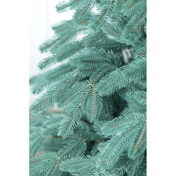 Ялинка лита 'Лапландська' ПАРАСОЛЬКА БЛАКИТНА 3,00м