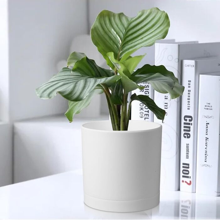 Набір горщиків для квітів з підставкою (5 шт.), 17.8/15.2/14/12.7/10.2 см, пластикові, для гідропоніки, кімнатних рослин та балконів, зелені з коричневим піддоном