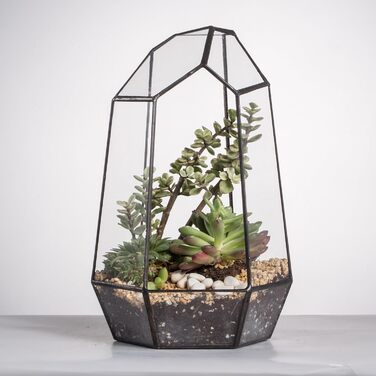 Скляне тераріум NCYP 16,5x16,5x25cm: геометричний дизайн, горщик для сукулентів та папоротей (без рослин)