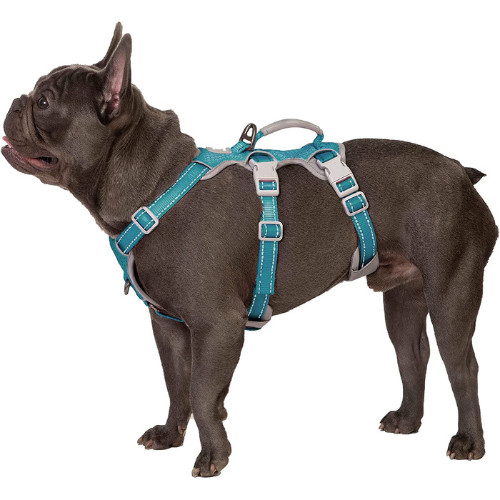 Захисна шлейка для собак, захисна шлейка для собакСвітловідбиваюча шлейка з м'якою ручкою, дихаюча, міцна, Регульований жилет для великих собак (Синій, L) великий (упаковка з 1) Синій