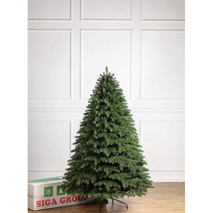 Ялинка лита 'Версальська' Зелена 2,50м