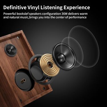 HiFi вініловий програвач Bluetooth USB з динаміками, стереосистема з регульованим противагою, магнітним картриджем та RCA виходом