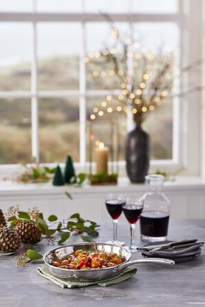 SCANPAN Fusion 5 сковорода з нержавіючої сталі 24 см | Індукційна, для всіх плит, з антипригарним покриттям, для духовки