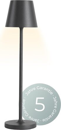Бездротова LED лампа Nova Leuchte: диммування, 2200mA, IP54, тепле світло 2700K, антрацит