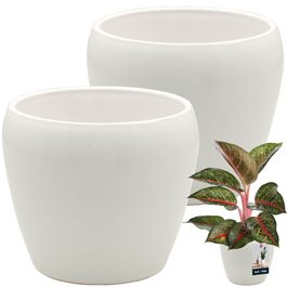 стиль: 2 серія