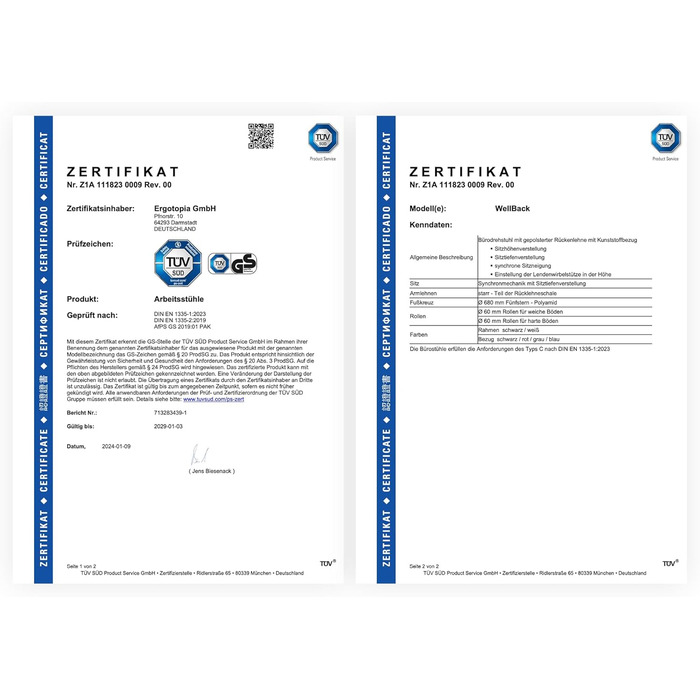 Ergotopia WellBack: Ергономічне крісло для офісу та дому, Made in Germany, з підтримкою попереку та синхро-механізмом, білий каркас, сірий колір