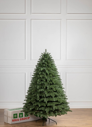 Ялинка лита 'Версальська' Зелена 2,10м