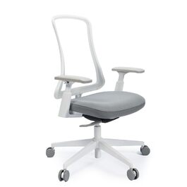 Офісний стілець ProtoArc Flexer ергономічний з регулюванням глибини сидіння, чорний. Сітчаста спинка, контурне сидіння для дому та офісу. Легкий монтаж.