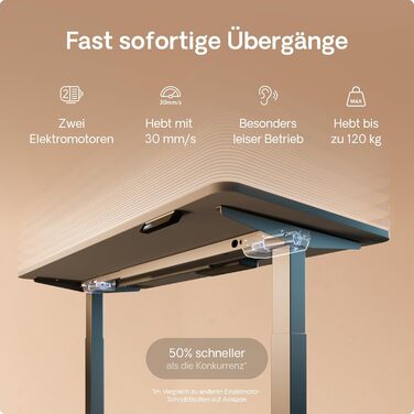 Регульований стіл Desktronic Homeone 160x80 см – електричний, з USB-портами, чорний + білий