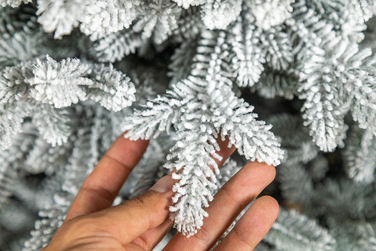 Ялинка лита 'Альпійська' ЗАСНІЖЕНА 1,80м