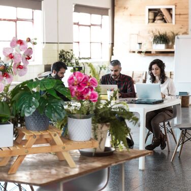 Підставка для квітів Relaxdays з бамбука