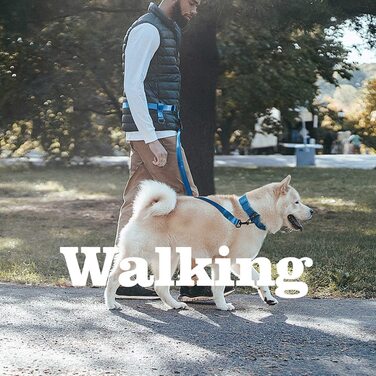 Відмінний Елітний повідець для собак з регульованим поясним ременем, повідець для собак середнього і великого розміру, для вигулу, піших прогулянок ,їзди на велосипеді (синій)