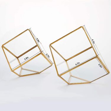 Скляне терассіум ElegantLife Geometris для сукулентів та повітряних рослин (кубічна форма, золото, чорний)