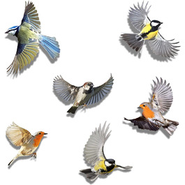 Наклейки Imaggge.com з птахами 6 предметів кольорові