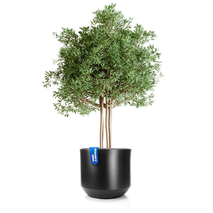 Великий квітковий горщик BigDean, anthracite, ø 58 см з знімним внутрішнім горщиком - стійкий до погодних умов, з міцного пластику, для дому та саду