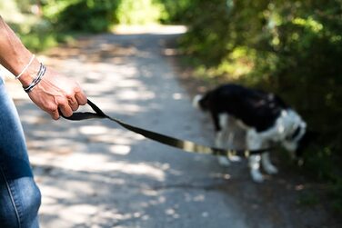 Повідець для собак Beddog Емма, регульований на 3 довжини, подвійний повідець, повідець для вигулу, повідець для вигулу, поводок для собак середнього і великого розміру, загальна довжина 2 м-хакі 2 м/25 мм хакі
