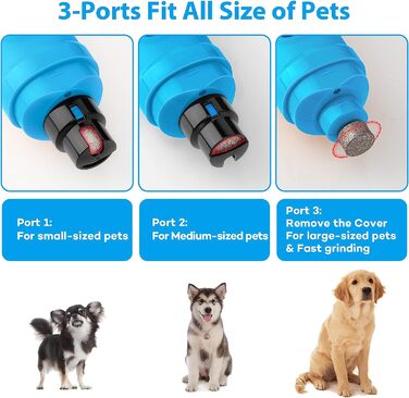 Точилка для кігтів Casfuy для собак з 2 світлодіодними лампами-2-швидкісна безшумна потужна електрична точилка для кігтів для маленьких, середніх собак і кішок (небесно-блакитного кольору)