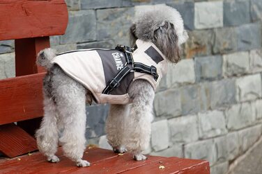Пальто для собак Lairle, зимова куртка для собак, пальто для собак, пальто для цуценят, куртка, мокрий одяг, пальто для маленьких собак, пальто для маленьких і середніх собак, Roa (XL, Білий)