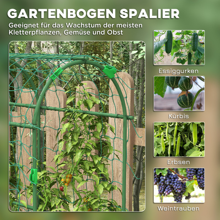 Велика арка для підтримки рослин, сітка від птахів, легка установка, метал, 43 x 182 x 183 см