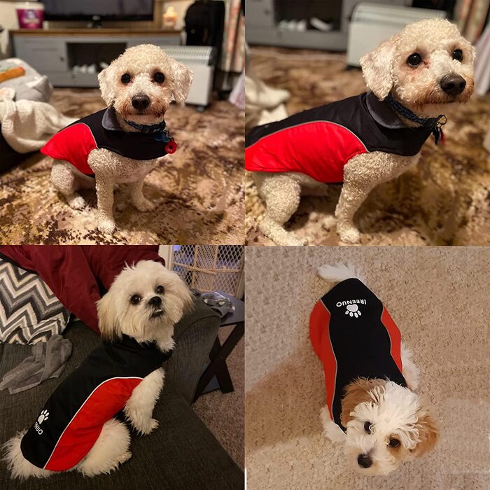 Зимове пальто для собак IREENUO, водонепроникне пальто для маленьких і середніх собак, зимові куртки і зимові пальто з флісовою і світловідбиваючою смугою (XL)