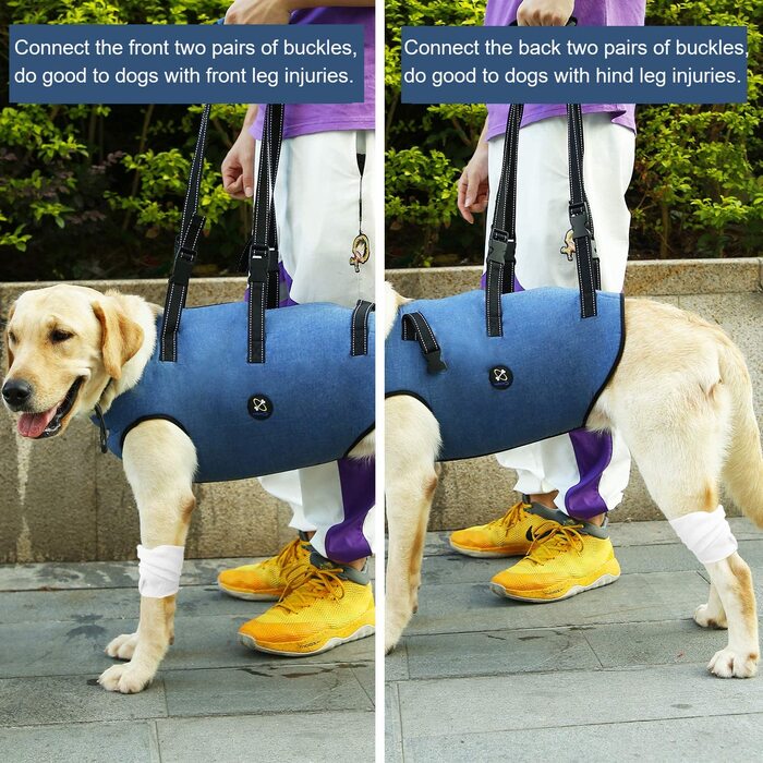 Шлейка для собак Coodeo, підйомний ремінь для домашніх тварин, підтримка і реабілітація, регульовані дихаючі ремені з м'якою підкладкою для літніх людей, інвалідів, травм суглобів (Синій, XXL)