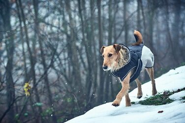 Екстремальне пальто для собак Hunter UPPSALA, зимове пальто, водовідштовхувальне, світловідбиваюче, (чорний/сірий, 60)