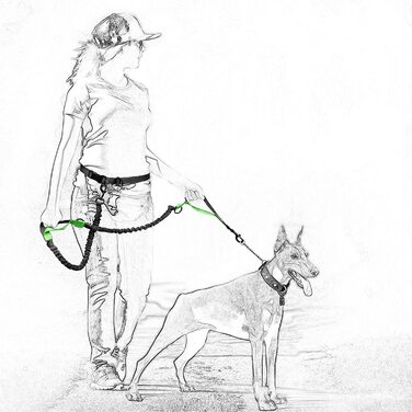 Висувний повідець для собак без повідка для бігу Регульований світловідбиваючий банджі з подвійними ручками (коричневий)