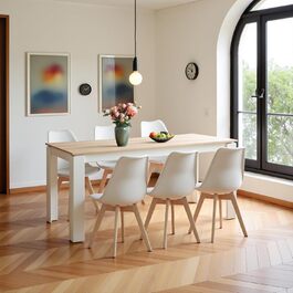 Обідній стіл з 6 стільцями - комплект для їдальні, вітальні, кухні або офісу (160 см, дуб-білий, стільці білі)