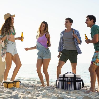 Термосумка-холодильник Lifewit 30л для пікніка, їжі та напоїв (Blaugrau Gestreift)