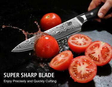 Японський ніж SHAN ZU 15 см з дамаської сталі, PRO Series - універсальний ніж для кухні з лезом з 67 шарів вуглецевої сталі та ручкою G10